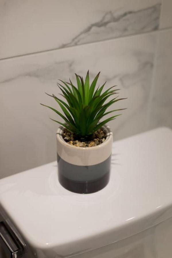 Palms Little Italy Studio With Full Bathroom By Denstays Montréal Exterior foto